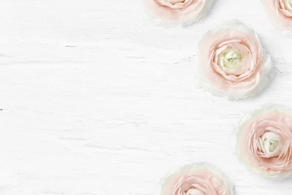 Styled stock photo. Feminine desktop mockup with buttercup flowers, Ranunculus, empty space and shabby white background. Top view. Picture for blog or social media. — Stock Photo, Image