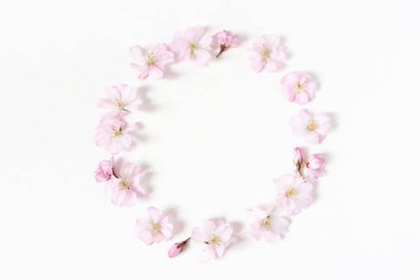Stok fotoğraf tarz. Bahar, Paskalya kadınsı sahne çiçek kompozisyon. Yuvarlak kare çelenk desen pembe Japon kiraz çiçekleri yaptı. Beyaz arka plan. Düz yatıyordu, en iyi görünümü.