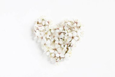 Beyaz prunus çiçek, kiraz çiçekleri Beyaz ahşap arka plan üzerinde izole kalp yaptı. Düz kadınsı kompozisyon, üstten görünüm tarz yatıyordu. Bahar kavramı. Çiçek desenli.