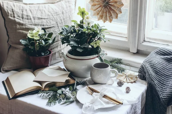 Moody invierno desayuno bodegón escena. Mesa de Navidad con cubiertos dorados, taza de café, tarjeta de felicitación, eucalipto y ramas de abeto. Flores de hellebores en macetas en la ventana . —  Fotos de Stock