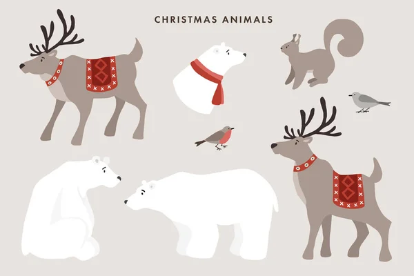 Vahşi kış hayvanları seti. Şirin kutup ayıları, ren geyikleri, sincap ve ispinoz kuşları. Kutlama kartları için Noel İskandinav tasarımı. Vektör karikatür çizimleri. Ayrı doğa grafik nesneleri. — Stok Vektör