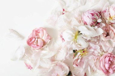 Solmuş pembe güllere ve şakayıklara yakın beyaz masa arkasında izole edilmiş çiçek yaprakları. Çiçek çerçeveli kompozisyon. Dekoratif web afişi. Tarzlı stok fotoğrafı. Boş alan, düz yatış, üst manzara.