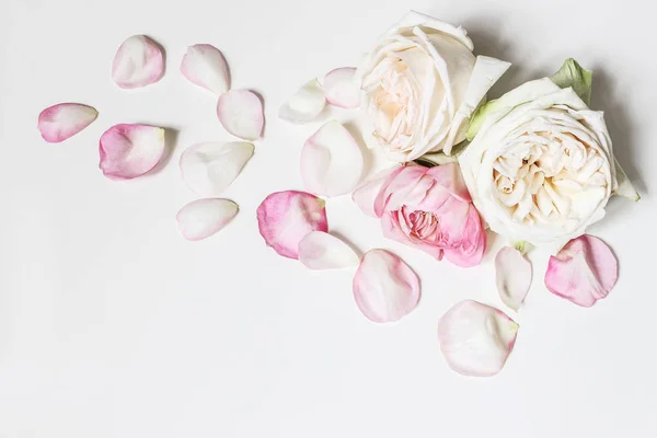 Close up de flores de rosas rosa florescendo e pétalas isoladas no fundo da mesa branca. Composição do quadro floral. Banner decorativo da web. Foto de estoque estilo. Espaço vazio, flat lay, vista superior . — Fotografia de Stock