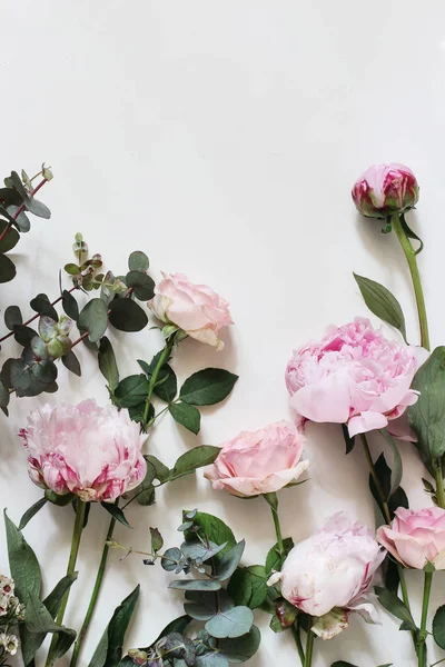Feminine styled stock photo with pink roses, peony, flowers and eucalyptus leaves and branches isolated on white background. Flat lay, top view. Floral pattern, corner composition, vertical. — Stock Photo, Image