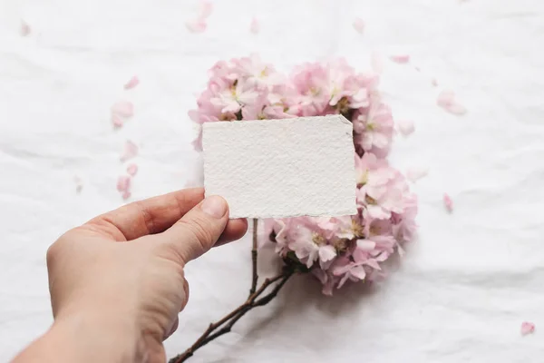 Spring feminine wedding stationery mockup scene. Closeup of woman hand holding blank cotton paper card. Defocused background with pink blossoming cherry tree branches, floral petals on white table.