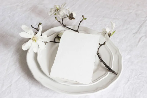 Porselen tabaklar, beyaz çiçekli manolya stellata dalları ve boş kağıt kartlarla süslü bahar ayarı. Kadınsı kompozisyon, düğün veya restoran menüsü konsepti. — Stok fotoğraf