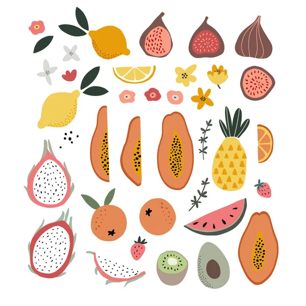Set of abstract hand drawn shapes, flowers, tropical exotic fruit and abstract shapes. Modern artistic, minimalist design. Decorative isolated vector illustrations. Papaya, figs, lemons, dragon fruit. — Stock Vector