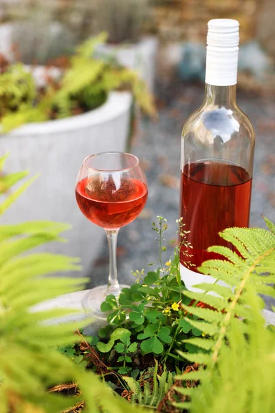 Jedna szklanka i butelka czerwonego lub różowego wina w jesiennej winnicy. Czas zbiorów, piknik, motyw przewodni. — Zdjęcie stockowe