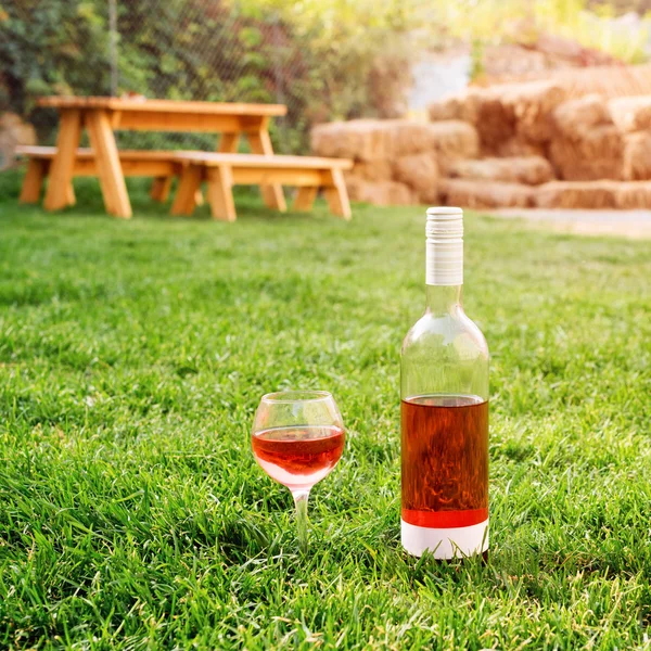 One glass and bottle of red or rose wine in autumn vineyard in green grass. Harvest time, picnic, fest theme. — Stock Photo, Image