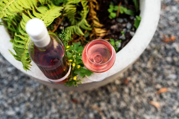Um copo e garrafa de vinho tinto ou rosa na vinha de outono. Tempo de colheita, piquenique, tema de festa. — Fotografia de Stock