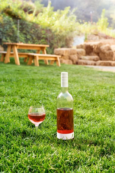 Um copo e garrafa de vinho tinto ou rosa na vinha de outono em grama verde. Tempo de colheita, piquenique, tema de festa . — Fotografia de Stock