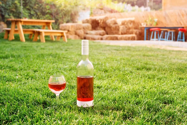 Um copo e garrafa de vinho tinto ou rosa na vinha de outono em grama verde. Tempo de colheita, piquenique, tema de festa . — Fotografia de Stock