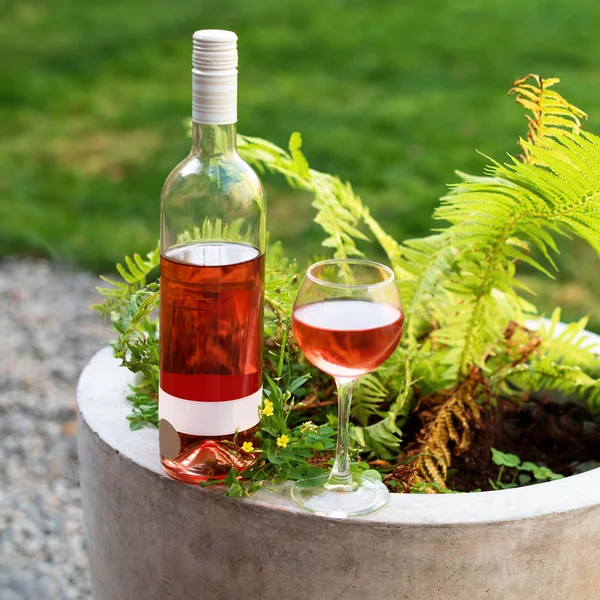 One glass and bottle of red or rose wine in autumn vineyard. Harvest time, picnic, fest theme. — Stock Photo, Image