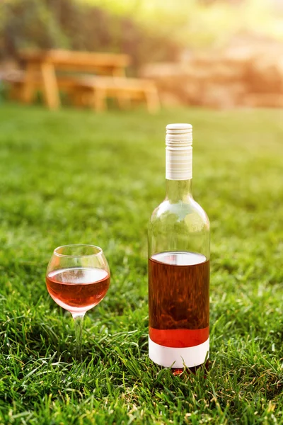 Um copo e garrafa de vinho tinto ou rosa na vinha de outono em grama verde. Tempo de colheita, piquenique, tema de festa . — Fotografia de Stock