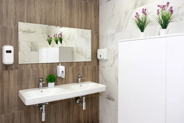 Мінімалістична ванна кімната з двома раковинами, стилізованими з зеленню — стокове фото