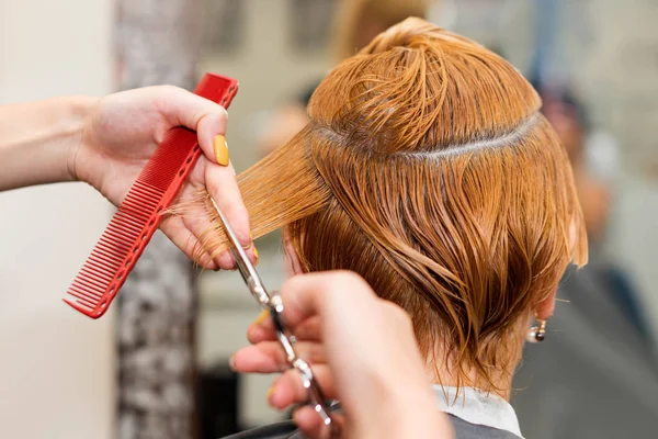 Женщине делают новую стрижку. Женщина-парикмахер стрижет волосы ножницами в парикмахерской. Парикмахер держит в руке между пальцами прядь волос, расческу и ножницы крупным планом . — стоковое фото