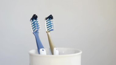 Toothbrushes in spinning toothbrush cup close-up on grey background.