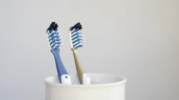 Toothbrushes in spinning toothbrush cup close-up on grey background. — Stock Video