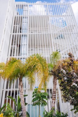 Bahçedeki palmiye ağaçları sahildeki modern otel binasının yanında. Tropik tatil.