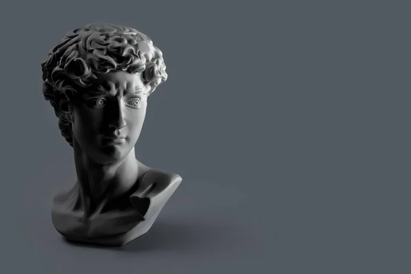 Een Gipsbeeld Van Davids Hoofd Michelangelo David Standbeeld Gips Kopie — Stockfoto