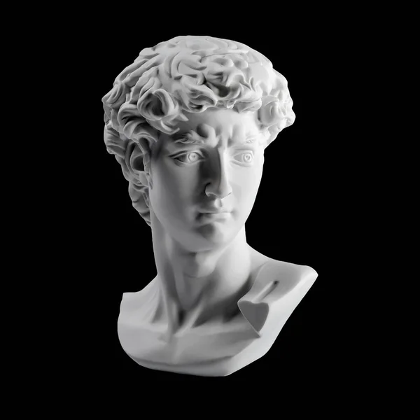 David 'in kafasının alçıtaşı heykeli. Michelangelo 'nun David heykelinin alçı kopyası siyah arka planda izole edilmiş. Antik Yunan heykeli, kahraman heykeli.