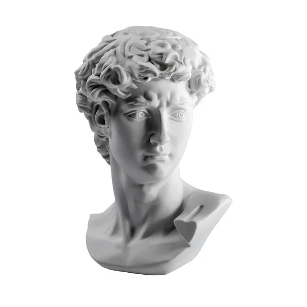 ダビデの頭の石膏像 ミケランジェロのダビデ像の石膏像は白地に隔離されている 古代ギリシャ彫刻英雄像 — ストック写真