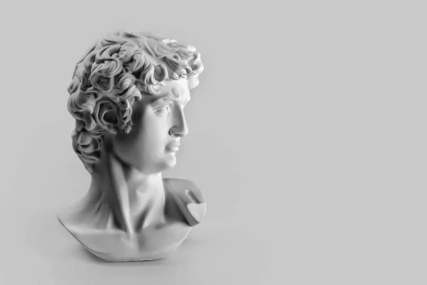 ダビデの頭の石膏像 ミケランジェロのダビデ像の石膏像は灰色の背景に文字のためのコピースペースがある 古代ギリシャ彫刻英雄像 — ストック写真