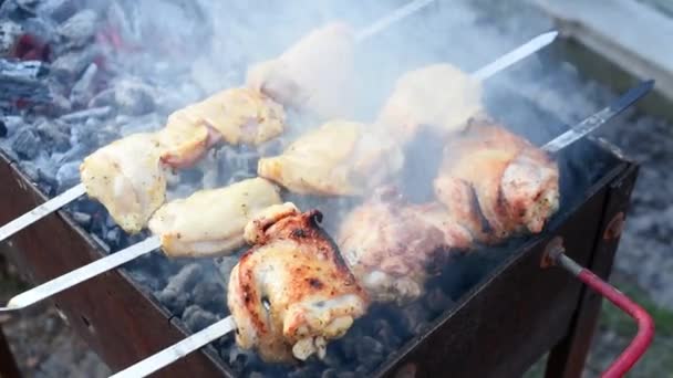 Grillowanie surowego mięsa na grillu na świeżym powietrzu. Grill na węglu drzewnym na pikniku. Kebab, smażone mięso grillujące na grillu — Wideo stockowe