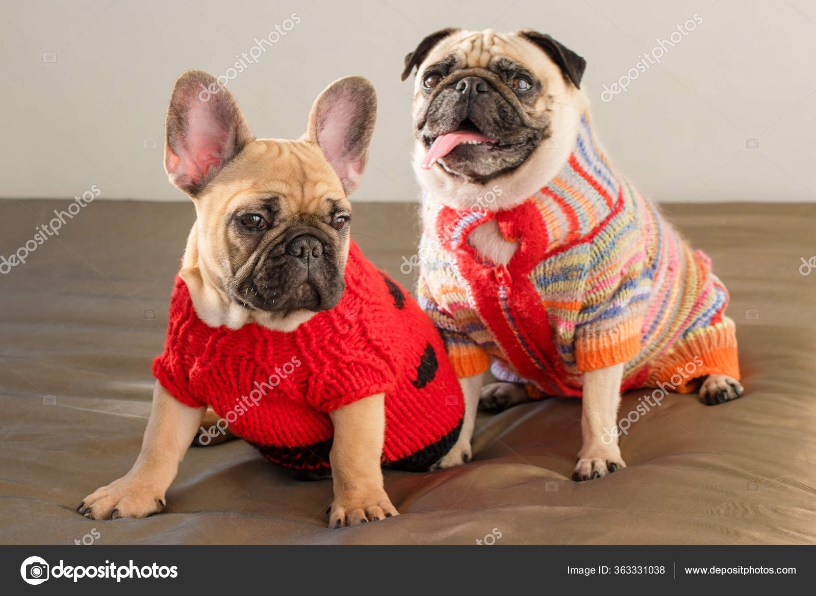 Funny Dog Sweater, Bulldog Sweatshirts