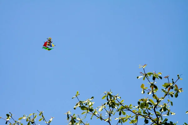 Beautiful, colorful, paper, kite in the form of a ship flying in the sky. He\'s tied to a rope. The tops of green trees are visible from below. There are no clouds in the sky. Blue background with copy space.
