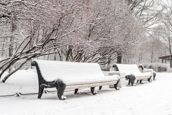 snow-covered benches and lilac bushes in the winter Park