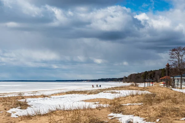 Зимовий день ходить по березі замерзлої затоки. — стокове фото