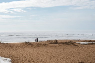 Kuzey Denizi 'nin karla kaplı kıyılarında yürüyorum.