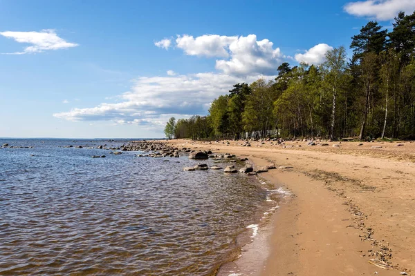 Весняний краєвид на березі Фінської затоки. — стокове фото