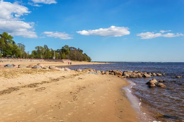 Краєвид на узбережжі Балтійського моря в ясний день — стокове фото