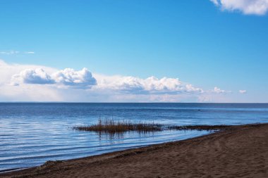 Finlandiya Körfezi kıyısında sakin bir gün