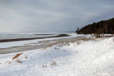 Karla kaplı tepeleri ve kuru çim kulakları olan Baltık kıyıları