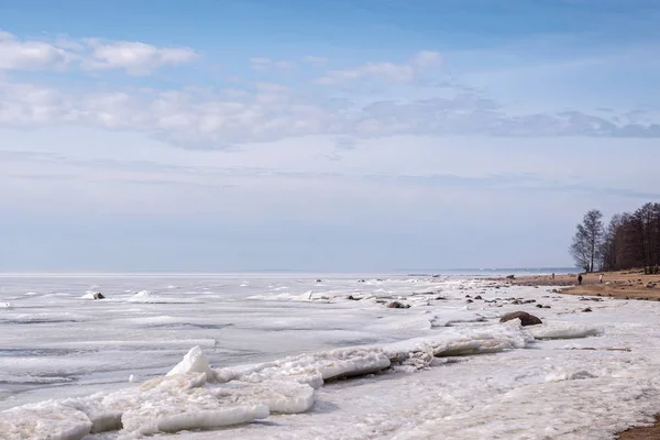 Northern frozen sea with ice floes and rocks near the shore — Stockfoto