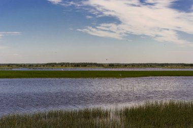 Göl üzerindeki doğal yaz manzarası