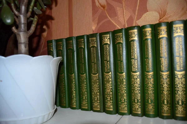 Odanın içinde kitap koleksiyonu var.