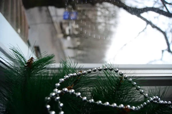 Şehirde Noel Ağacı — Stok fotoğraf