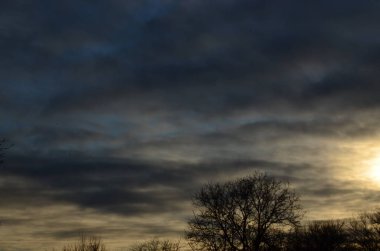 Gün batımı arkaplanındaki bir ağacın fotoğrafı