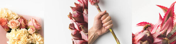 collage of man holding pink pineapple and blooming flowers isolated on white 