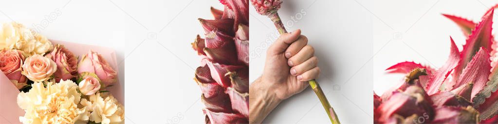collage of man holding pink pineapple and blooming flowers isolated on white 