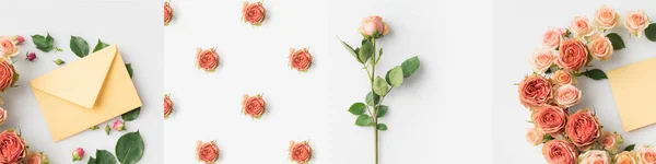 Collage of blooming roses and envelopes isolated on white — Stock Photo