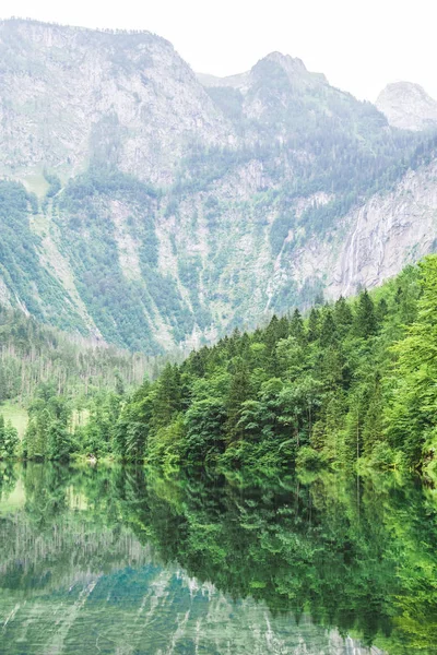 伟大的夏日全景欧伯湖湖。绿色早晨场面瑞士阿尔卑斯, Nafels 村庄位置, 瑞士, 欧洲。自然美的概念背景. — 图库照片