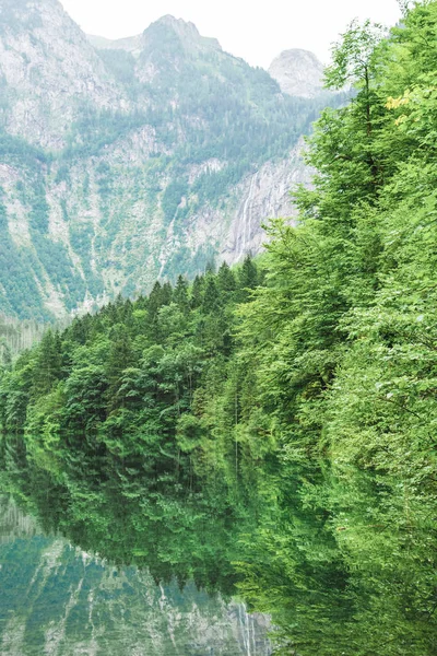 Tolles Sommerpanorama auf den Obersee. grüne Morgenlandschaft der Schweizer Alpen, nafels dorf lage, schweiz, europa. Schönheit der Natur Konzept Hintergrund. — Stockfoto