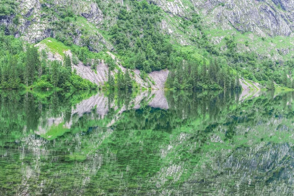 멋진 여름 Obersee 호수의 파노라마입니다. 스위스 알프스, Nafels 마 위치, 스위스, 유럽의 녹색 아침 장면. 자연 컨셉 배경의 아름다움. — 스톡 사진