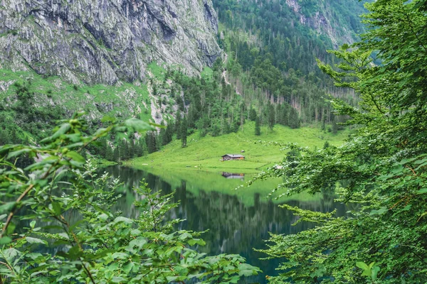 伟大的夏日全景欧伯湖湖。绿色早晨场面瑞士阿尔卑斯, Nafels 村庄位置, 瑞士, 欧洲。自然美的概念背景. — 图库照片