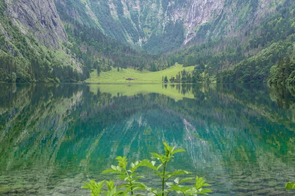 伟大的夏日全景欧伯湖湖。绿色早晨场面瑞士阿尔卑斯, Nafels 村庄位置, 瑞士, 欧洲。自然美的概念背景. — 图库照片